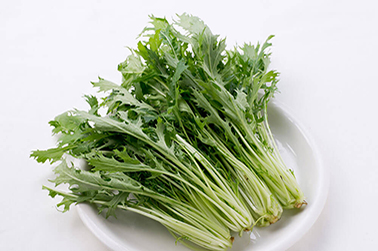 미즈나 *미즈나: 일본의 교토(京都)에서 예로부터 재배되어 온 야채로, 비료를 주지 않고도 물과 흙만으로 재배되는 야채라고 하여 경수채(京水菜)라는 명칭이 붙여짐